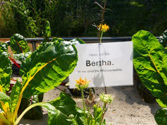 Projektvorstellung der CSEQ-Arbeitsgruppe